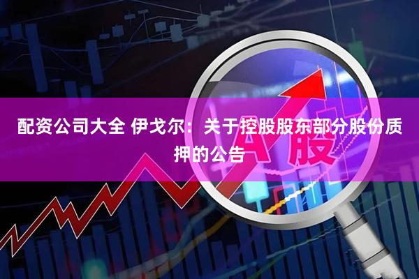 配资公司大全 伊戈尔：关于控股股东部分股份质押的公告