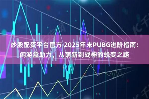 炒股配资平台官方 2025年末PUBG进阶指南：闲游盒助力，从萌新到战神的蜕变之路